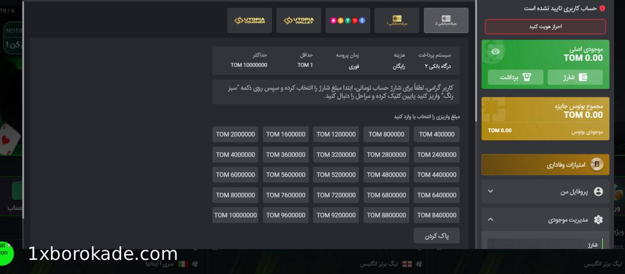 شارژ حساب بت 303
